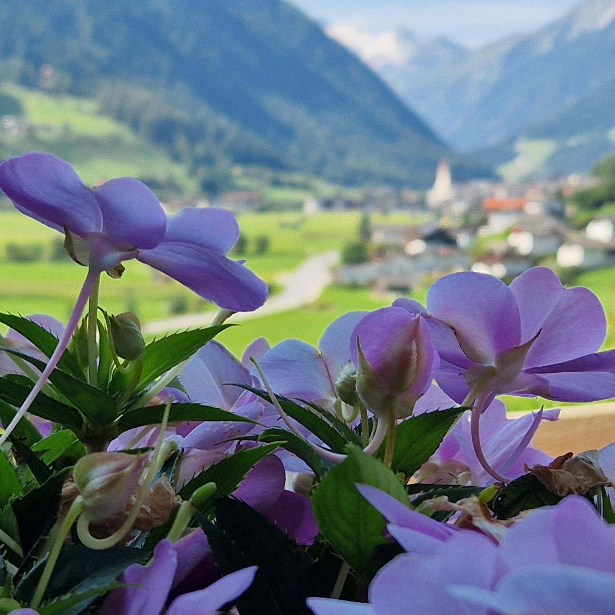 Klein&Fein Apartamento Neustift im Stubaital Exterior foto
